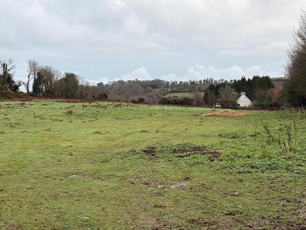 Terrain Constructible Guerlesquin 8180 m2