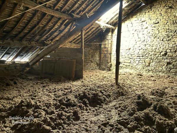 Maison à rénover avec jardin