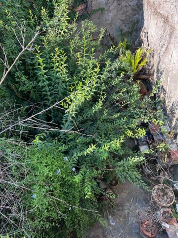 Maison Azille 5 pièce(s) 100 m2