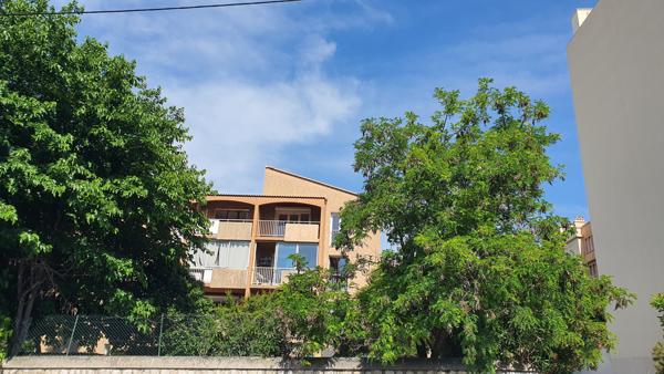 Appartement 3 pièces - 65 m²