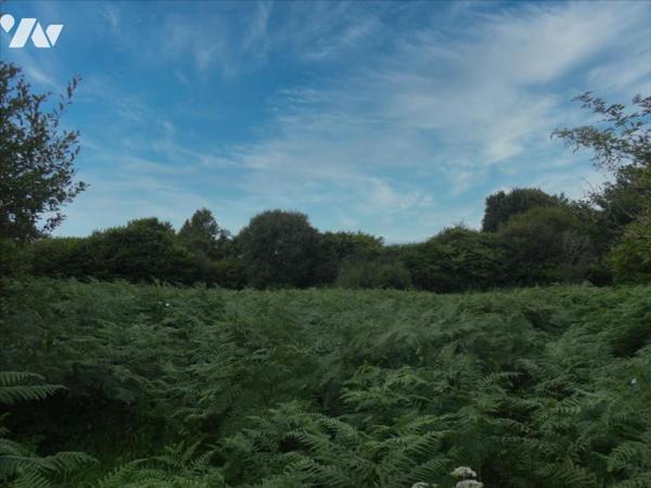 LOQUEFFRET- Terrain à bâtir
