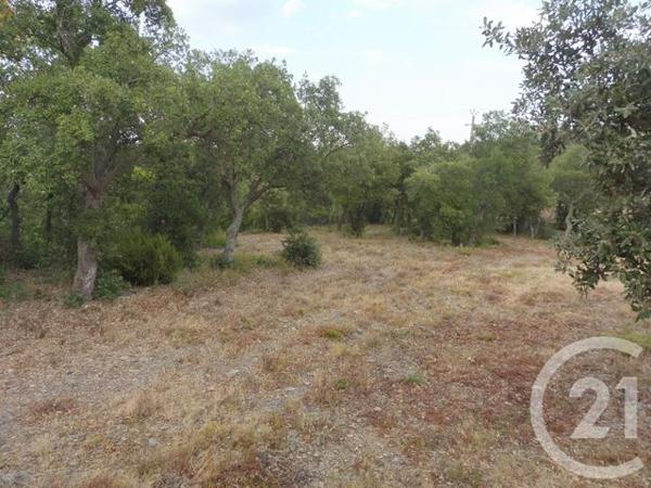 terrain à vendre 4698 m2 LLAURO - 66