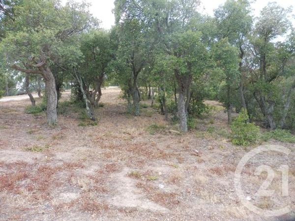 terrain à vendre 4698 m2 LLAURO - 66