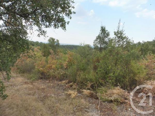 terrain à vendre 4698 m2 LLAURO - 66