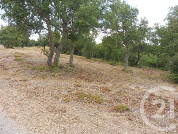 terrain à vendre 4698 m2 LLAURO - 66