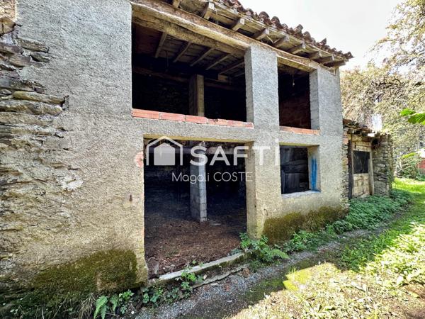 Petite maison en pierre pleine de charme