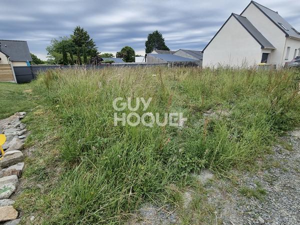 HIREL - Terrain à bâtir