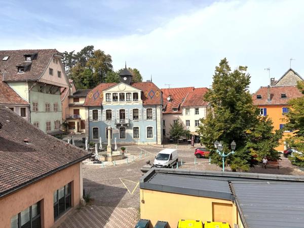 Appartement à louer 3 pièces 91.57m² Delle (90100)