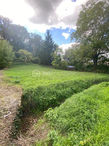 Terrain de 1 007 m²