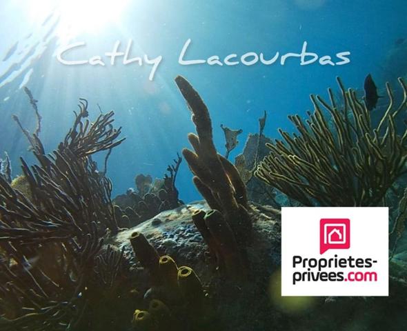 Domaine touristique clés en main- Deshaies 20 pièce(s) 400 m2