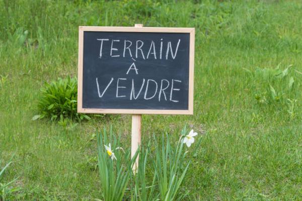 Terrain