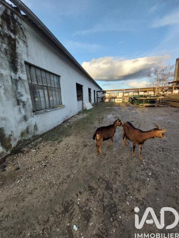 Terrain à vendre 2 500 m² Villeneuve-sur-Yonne