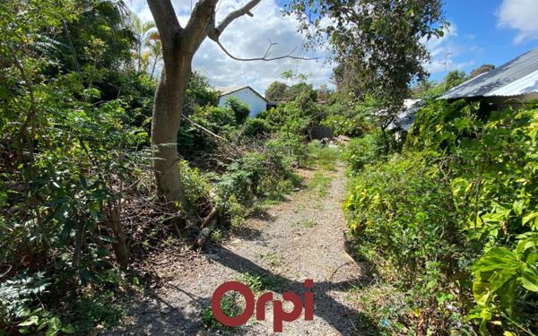 Terrain à vendre    Saint-Pierre