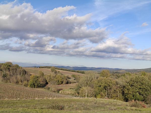 VILLAR-SAINT-ANSELME-TERRAIN 6839M²
