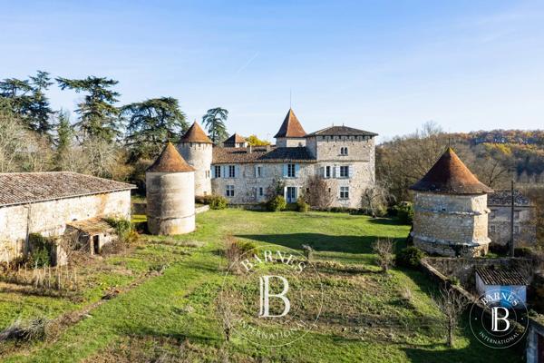 Lectoure, Château 9 Chambres  à vendre