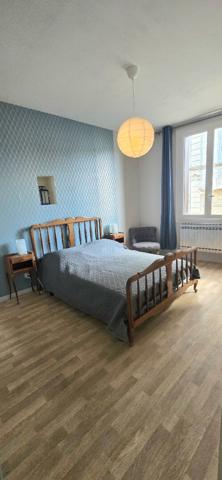 Maison + Local commercial :CHATILLON SUR INDRE