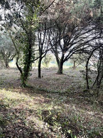 Terrain à vendre COLLIAS (30)