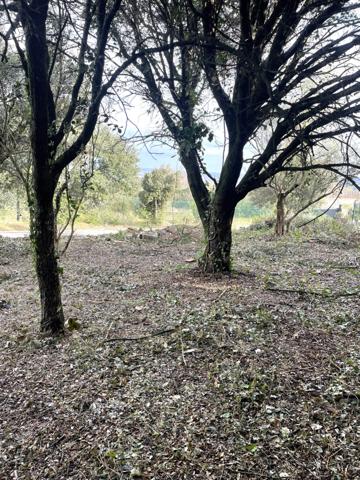 Terrain à vendre COLLIAS (30)