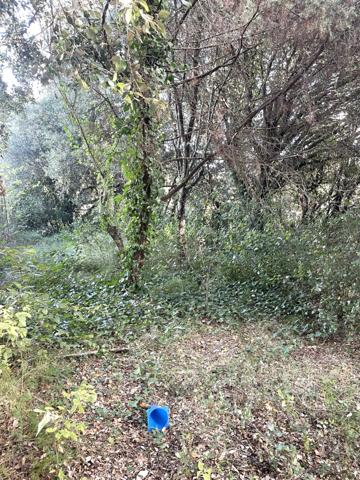 Terrain à vendre COLLIAS (30)