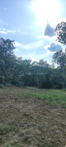 Terrain de 14 982 m²