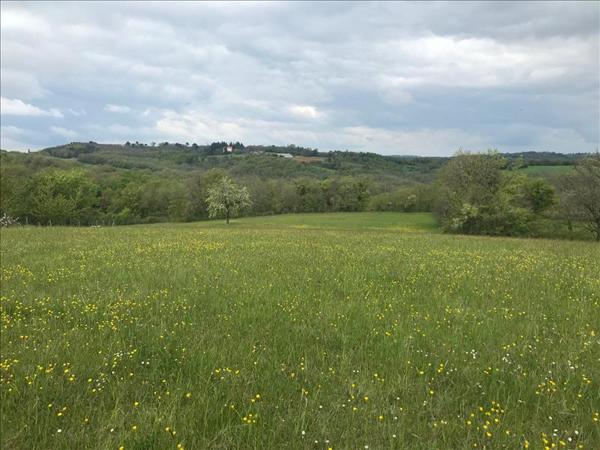 Terrain à vendre |  Saint-Cirq-Souillaguet |  7035 m²