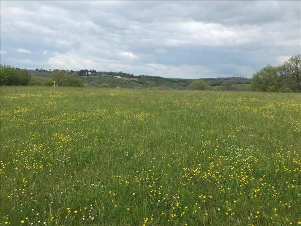 Terrain à vendre |  Saint-Cirq-Souillaguet |  7035 m²