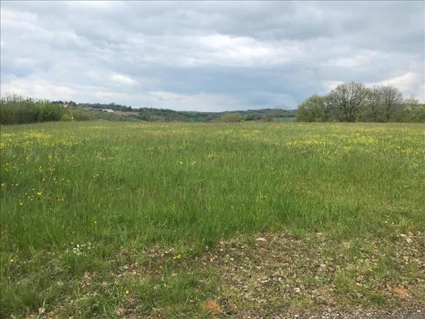 Terrain à vendre |  Saint-Cirq-Souillaguet |  7035 m²