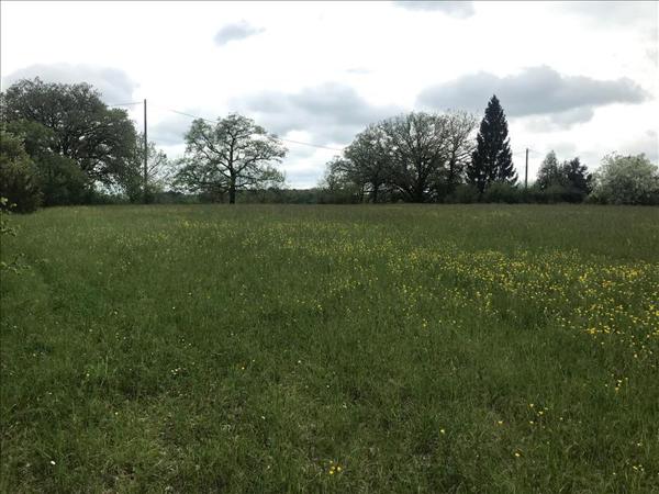 Terrain à vendre |  Saint-Cirq-Souillaguet |  7035 m²