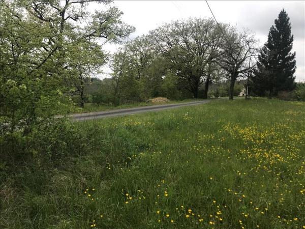 Terrain à vendre |  Saint-Cirq-Souillaguet |  7035 m²