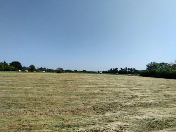 Grand terrain constructible de 3925 m² à Castelnau-Montratier – À saisir à prix canon !