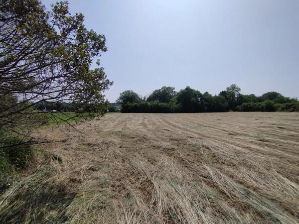 Grand terrain constructible de 3925 m² à Castelnau-Montratier – À saisir à prix canon !