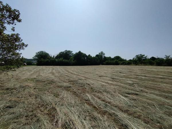 Grand terrain constructible de 3925 m² à Castelnau-Montratier – À saisir à prix canon !