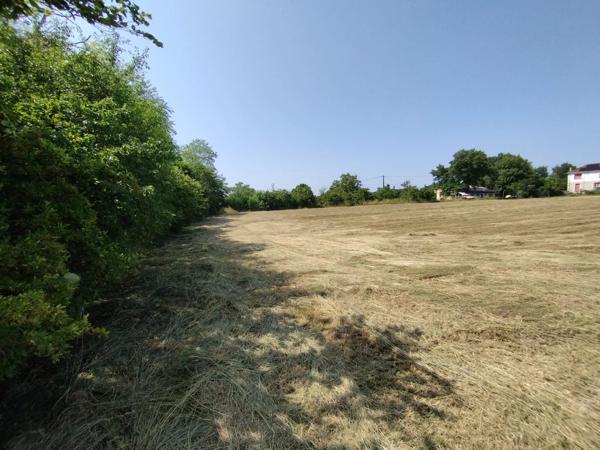 Grand terrain constructible de 3925 m² à Castelnau-Montratier – À saisir à prix canon !