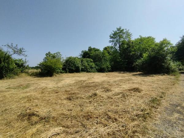 Grand terrain constructible de 3925 m² à Castelnau-Montratier – À saisir à prix canon !