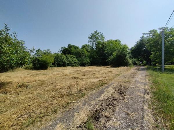 Grand terrain constructible de 3925 m² à Castelnau-Montratier – À saisir à prix canon !