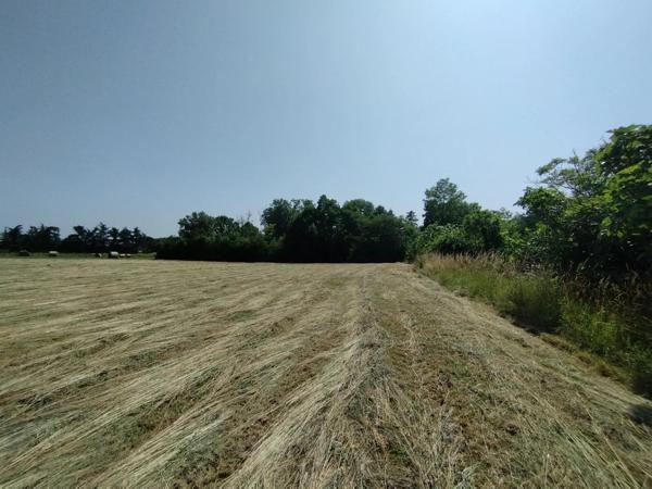 Grand terrain constructible de 3925 m² à Castelnau-Montratier – À saisir à prix canon !