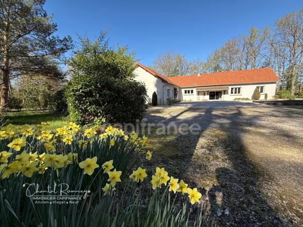 VIAGER OCCUPÉ - À vendre maison 255 m² - 10 pièces - ROMORANTIN LANTHENAY (41)