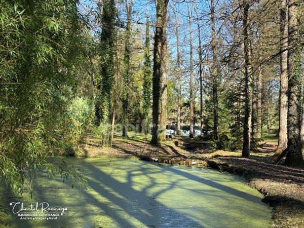 VIAGER OCCUPÉ - À vendre maison 255 m² - 10 pièces - ROMORANTIN LANTHENAY (41)