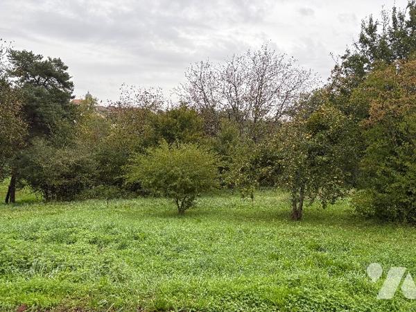 Terrain constructible à CHEMAUDIN (25320)