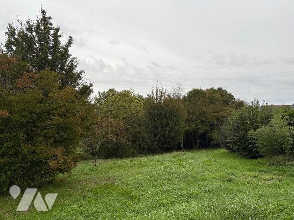 Terrain constructible à CHEMAUDIN (25320)