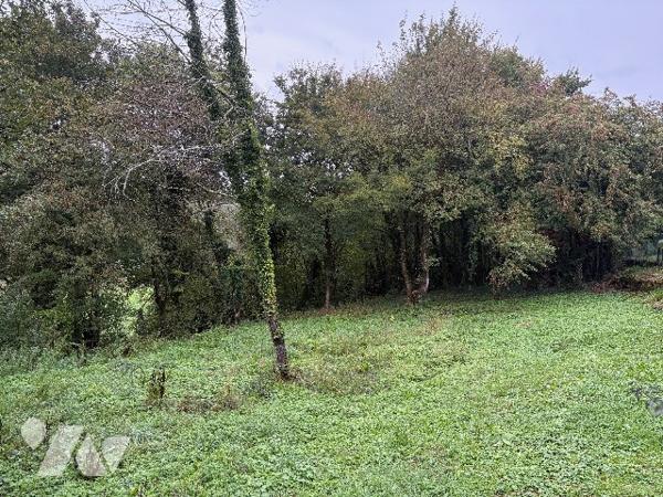 Terrain constructible à CHEMAUDIN (25320)