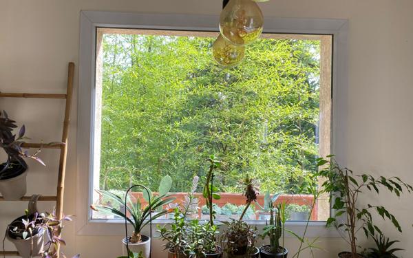 Maison à vendre    5 pièces •  Fontaines-sur-Saône