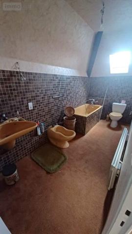 Maison à vendre à Louhans en Saône-et-Loire (71500), ref : YM144