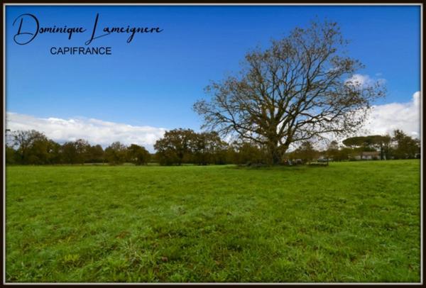 PROCHE PEYREHORADE - TERRAIN A BATIR 577 m2 - LIBRE BATISSEUR - HORS LOTISSEMENT