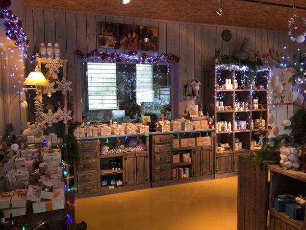 LOCAL PROFESSIONNEL Saint-germain-sur-meuse