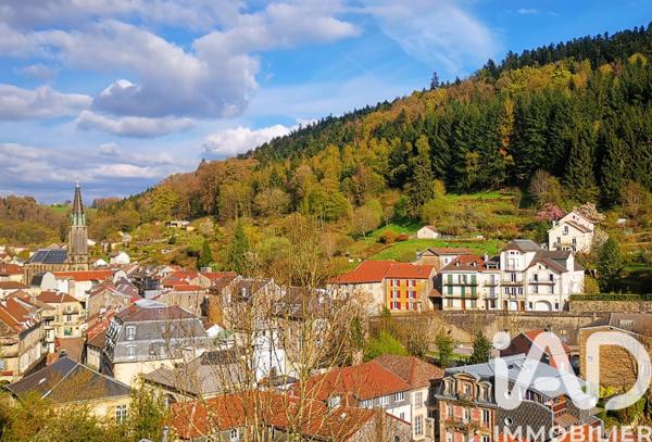 Immeuble à vendre 150 m² Plombières-les-Bains