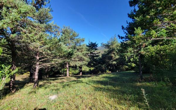 Maison à vendre    5 pièces •  Montmorin