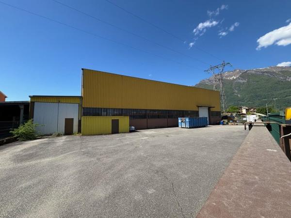 Vente murs / Local activité