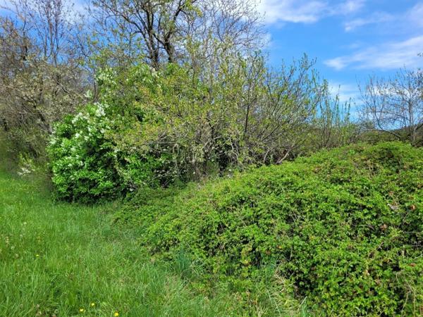 Vente Maison 3 pièces 100 m2 à Puivert