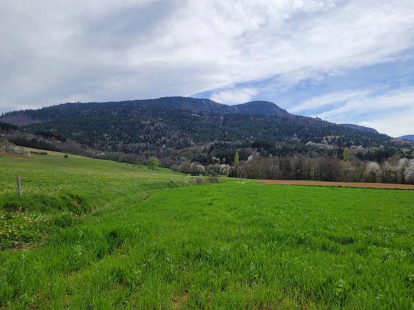 Vente Maison 3 pièces 100 m2 à Puivert